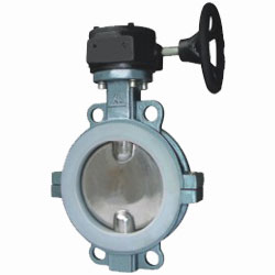 蝸輪對(duì)夾半襯氟蝶閥 蝸輪對(duì)夾半襯氟蝶閥